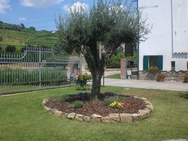Il Feudo Villa Vo Euganeo ภายนอก รูปภาพ