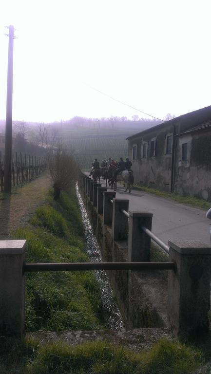 Il Feudo Villa Vo Euganeo ภายนอก รูปภาพ